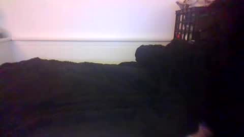 Snapshot of malebdsmslut chatting on 10-20-25, 07:20 CommandbondageNipples bondage kink submissive lovense slave wgear. modequiethvyBondage If Password goldfish online show from 10-20-25, 07:20