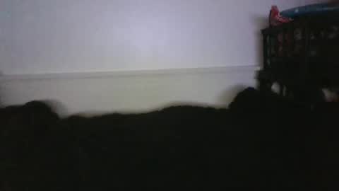 CommandbondageNipples bondage kink submissive lovense slave wgear. modequiethvyBondage If Password goldfish online show from 02-26-26, 04:00