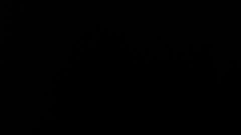 Alice Asylum online show from 11-20-25, 04:01