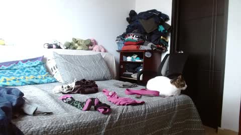 Malita online show from 04-06-26, 04:19