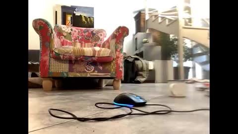 man38110 online show from 03-09-25, 08:40