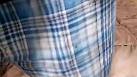 Snapshot of manlymanson chatting on 09-14-25, 09:47 Dickinabox online show from 09-14-25, 09:47