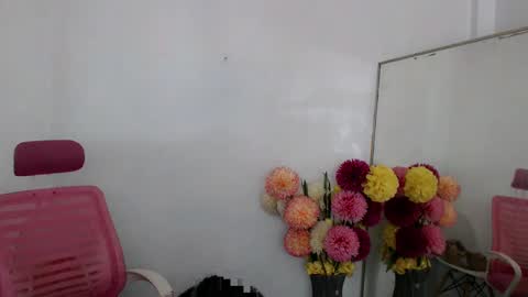Snapshot of manualrein19 chatting on 03-10-25, 10:37 rein online show from 03-10-25, 10:37