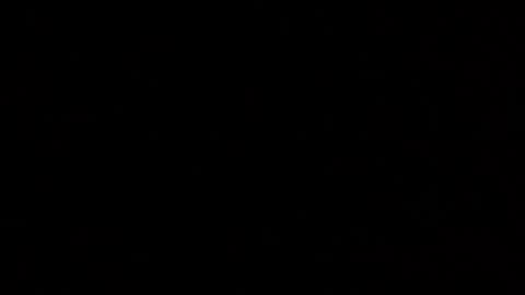 Snapshot of margolane chatting on 10-25-25, 03:18 Elle online show from 10-25-25, 03:18