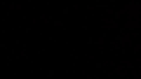 Snapshot of margolane chatting on 12-04-25, 02:10 Elle online show from 12-04-25, 02:10