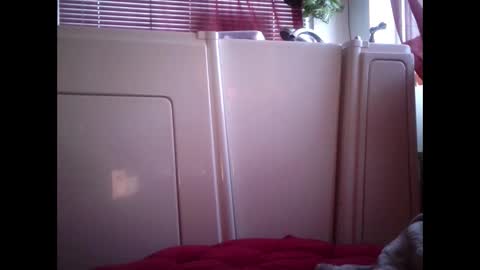 MariahJade95 online show from 02-12-25, 02:54