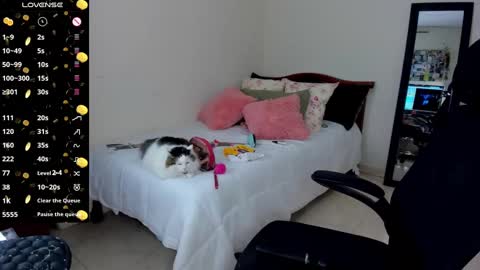   Mariam Castiblanco online show from 01-14-25, 03:01