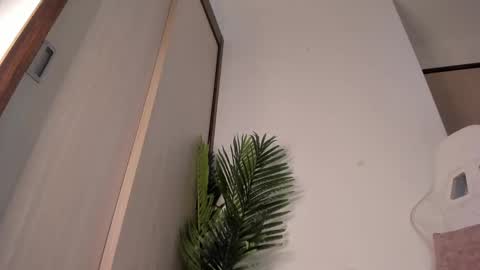 markus... Y online show from 12-13-24, 12:42