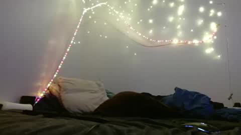 Snapshot of markymark101825061 chatting on 02-10-25, 08:31 markymark101825061 online show from 02-10-25, 08:31