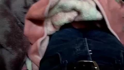 Snapshot of marocreda33 chatting on 03-11-25, 05:57 marocreda33 online show from 03-11-25, 05:57