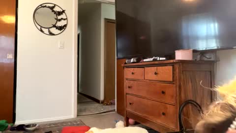 Snapshot of maroon_moon chatting on 02-14-25, 04:09 maroon_moon online show from 02-14-25, 04:09