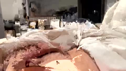 Snapshot of marriedthickdick37 chatting on 02-12-25, 05:37 marriedthickdick37 online show from 02-12-25, 05:37