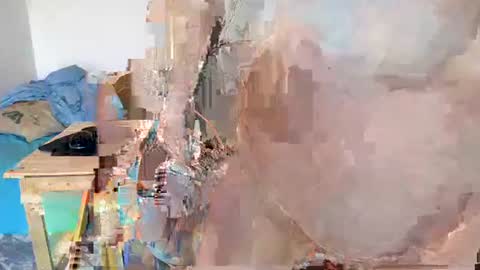 Snapshot of martymc1967 chatting on 01-21-25, 09:13 Moose online show from 01-21-25, 09:13