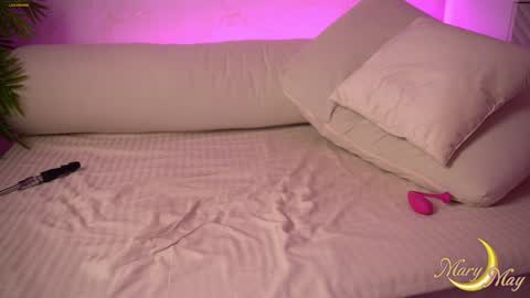 Snapshot of marylunamay chatting on 01-30-25, 01:22 Mary online show from 01-30-25, 01:22