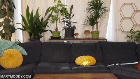 Mary Moody online show from 03-09-26, 12:47