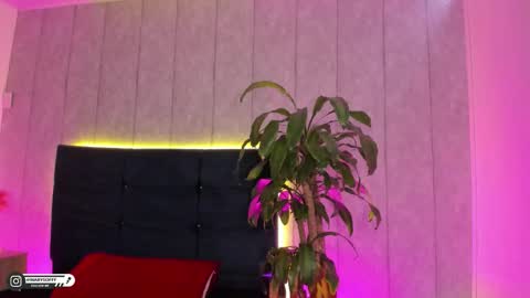 Snapshot of marysofff chatting on 11-25-25, 07:58 marysofff online show from 11-25-25, 07:58