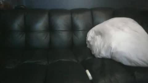 Masc39 online show from 04-12-26, 12:37