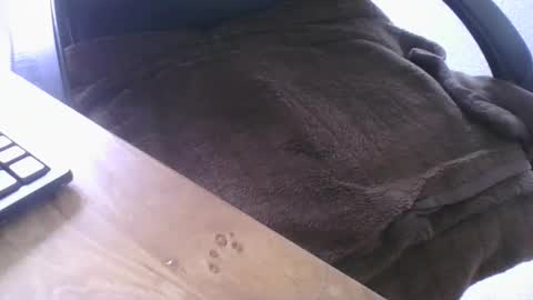 maskime59 online show from 02-21-26, 01:45