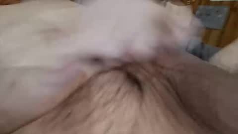 masturbator469658 online show from 11-07-25, 02:50