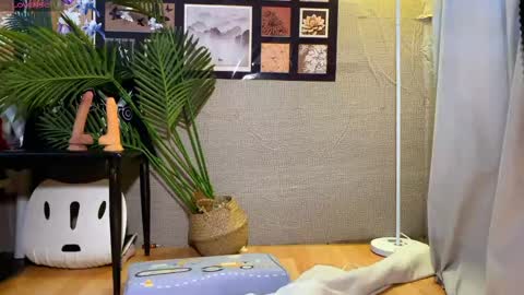 SuSu online show from 01-16-26, 03:32