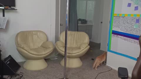 Matt Cash online show from 01-10-25, 02:14