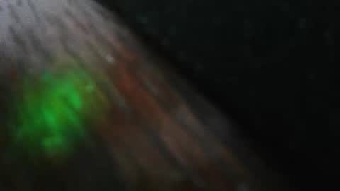 mattw31019 online show from 02-24-26, 08:29