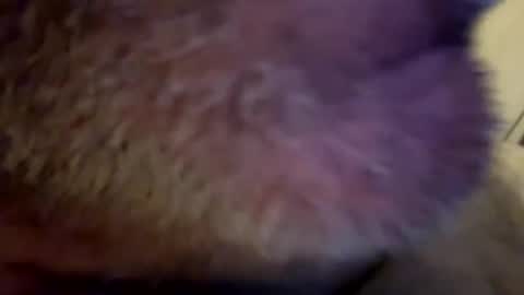 maverick7000 online show from 02-23-25, 08:17