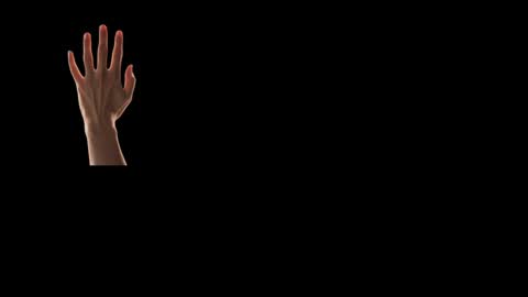 Future Max online show from 02-24-25, 04:26