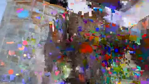 Sebastian online show from 12-04-24, 11:13