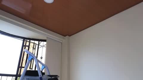 Sebastian online show from 12-30-24, 07:32