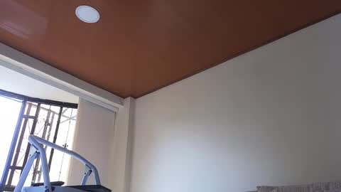 Sebastian online show from 01-13-25, 03:26