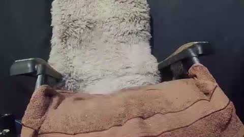 Snapshot of maximus_oreally chatting on 01-08-25, 09:34 Max online show from 01-08-25, 09:34