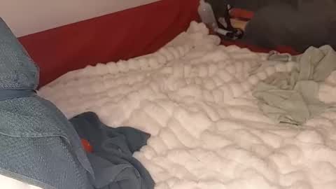 maybeanal online show from 10-12-25, 05:06