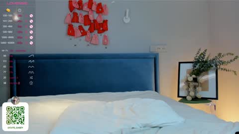 My name Casey  online show from 01-26-25, 10:13