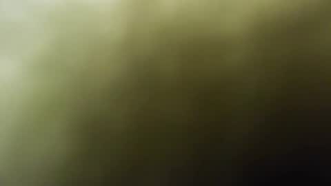 Snapshot of maylee_x chatting on 02-15-25, 12:01 maylee_x online show from 02-15-25, 12:01