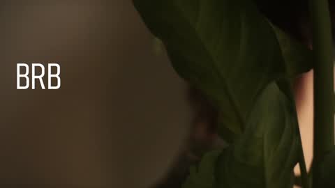 Snapshot of maymary_ chatting on 12-28-24, 08:58 Mary  . online show from 12-28-24, 08:58