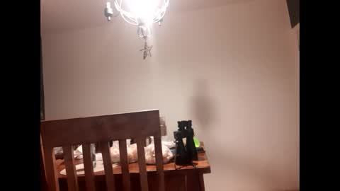 mccock16cm online show from 02-16-25, 03:47