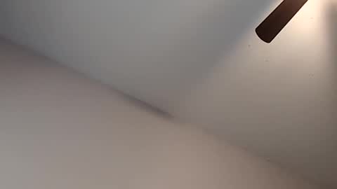 Snapshot of meanfinger chatting on 02-13-26, 03:30 Jizzy online show from 02-13-26, 03:30