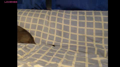 Meg4n Miauuuu online show from 02-19-25, 02:01