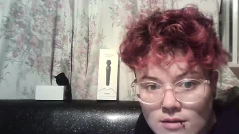 Snapshot of megan_coop3r_ chatting on 12-30-24, 08:32 Megan and sophi online show from 12-30-24, 08:32