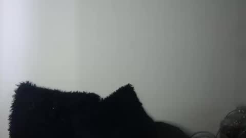 Snapshot of megan_coop3r_ chatting on 09-19-25, 09:37 Megan and sophi online show from 09-19-25, 09:37