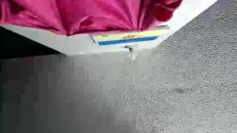 Snapshot of megan_coop3r_ chatting on 10-18-25, 02:18 Megan and sophi online show from 10-18-25, 02:18