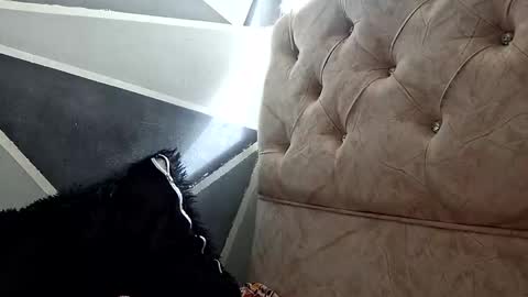 Snapshot of megan_coop3r_ chatting on 10-20-25, 01:33 Megan and sophi online show from 10-20-25, 01:33