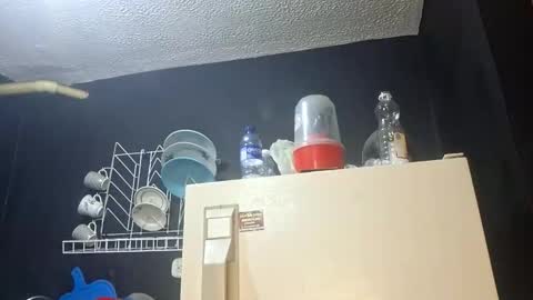 Snapshot of megan_coop3r_ chatting on 11-05-25, 03:39 Megan and sophi online show from 11-05-25, 03:39