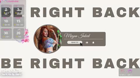 Snapshot of megan_inked_ chatting on 09-17-25, 02:24 online show from 09-17-25, 02:24