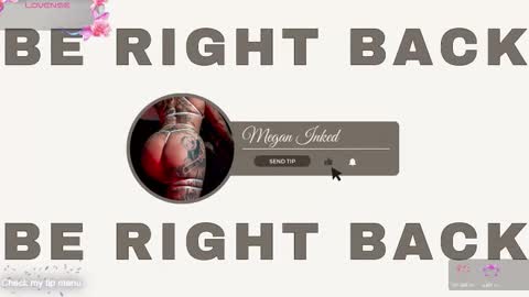 Snapshot of megan_inked_ chatting on 10-10-25, 02:43 online show from 10-10-25, 02:43