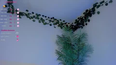 megancarlott_ online show from 03-01-25, 05:31