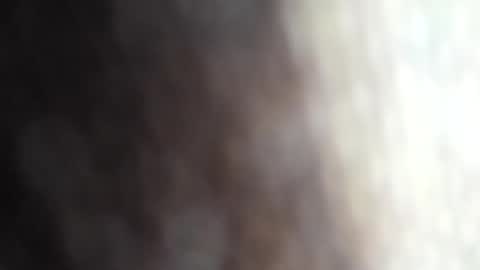 Meg online show from 03-02-25, 05:01