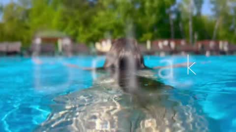 Snapshot of melanybunny chatting on 12-12-24, 03:27 Adel online show from 12-12-24, 03:27