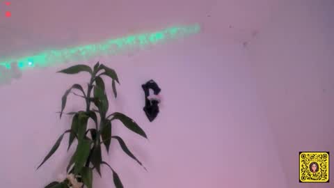 melissa online show from 09-20-25, 01:56